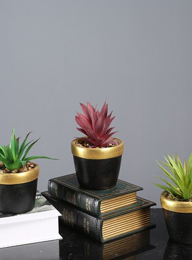 速发家植装饰品创意多肉植物盆栽摆内客厅室件绿居盆景小摆设