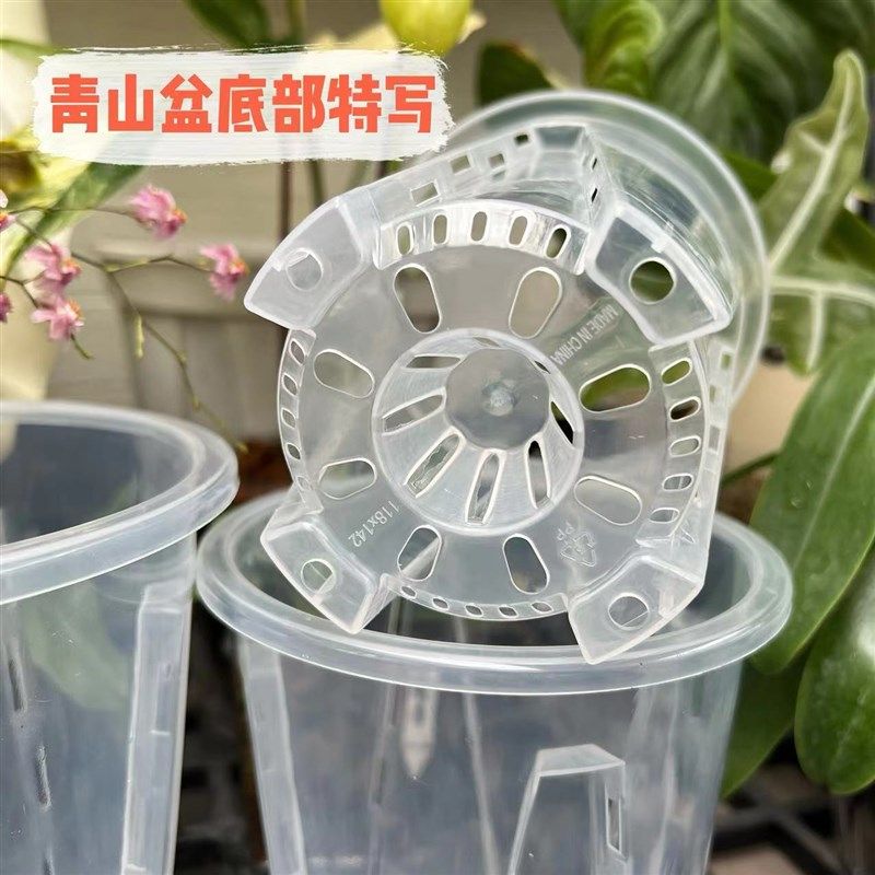 蝴蝶兰文心兰君子兰专用塑料花盆PP材质加厚青山盆透气带空气柱,淘宝优惠券,粉丝福利购,淘宝优惠卷