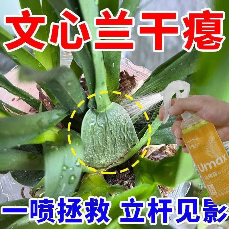 文心兰营养液专治开 花慢不开 花掉花苞黄叶枯萎免稀释高,淘宝优惠券,粉丝福利购,淘宝优惠卷