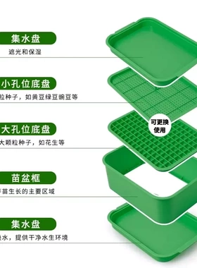 豆芽发芽神器种花生芽水培育苗