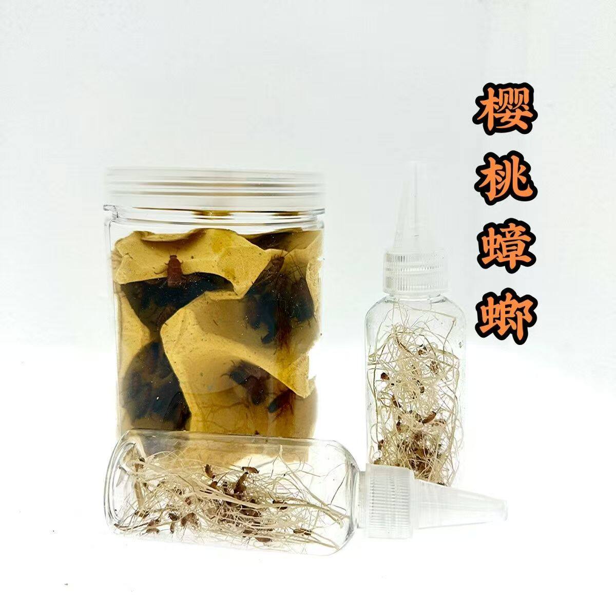 图5