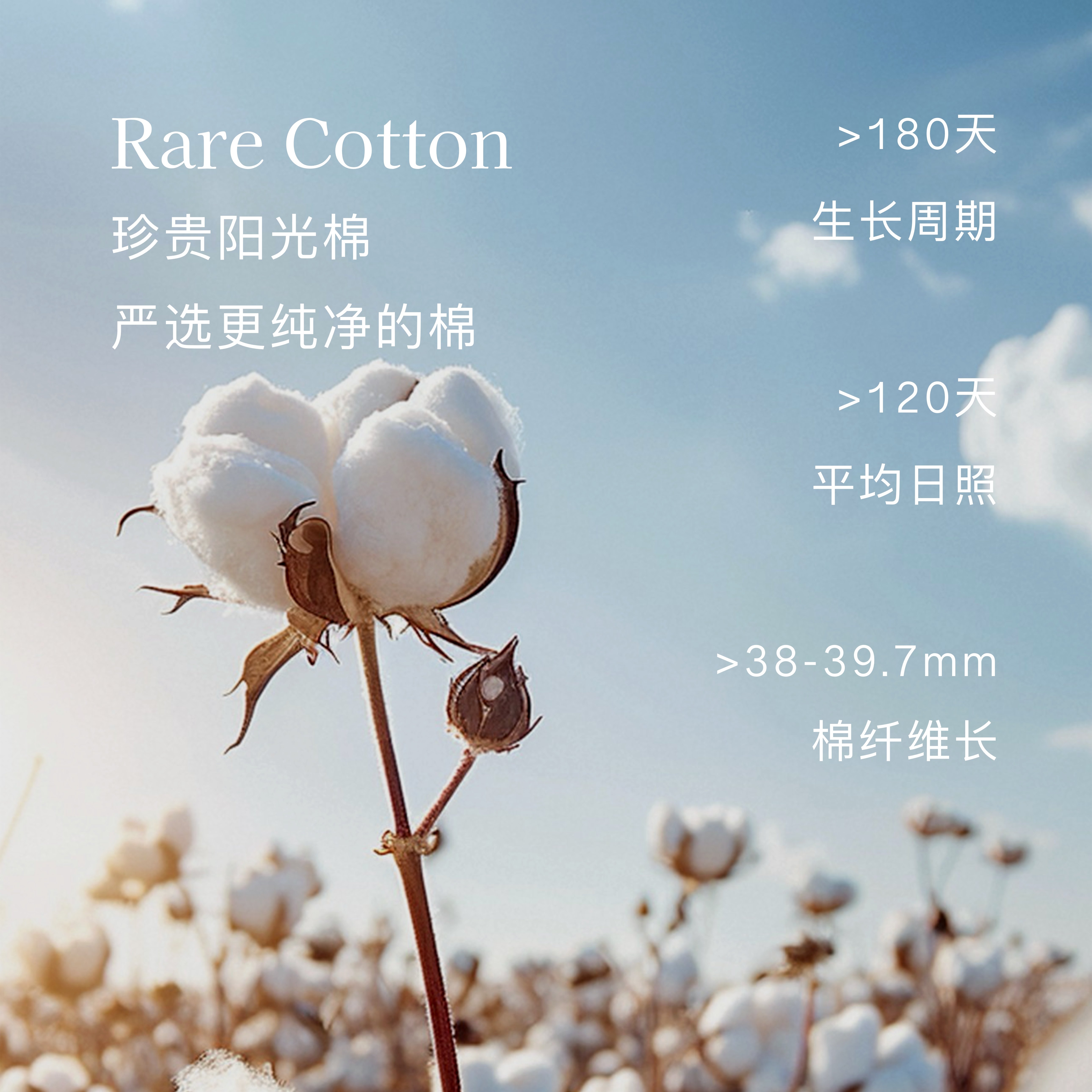 Elk Zoo女童碎花连衣裙法式复古风娃娃领长袖女宝宝洋气时髦裙子,淘宝优惠券,粉丝福利购,淘宝优惠卷