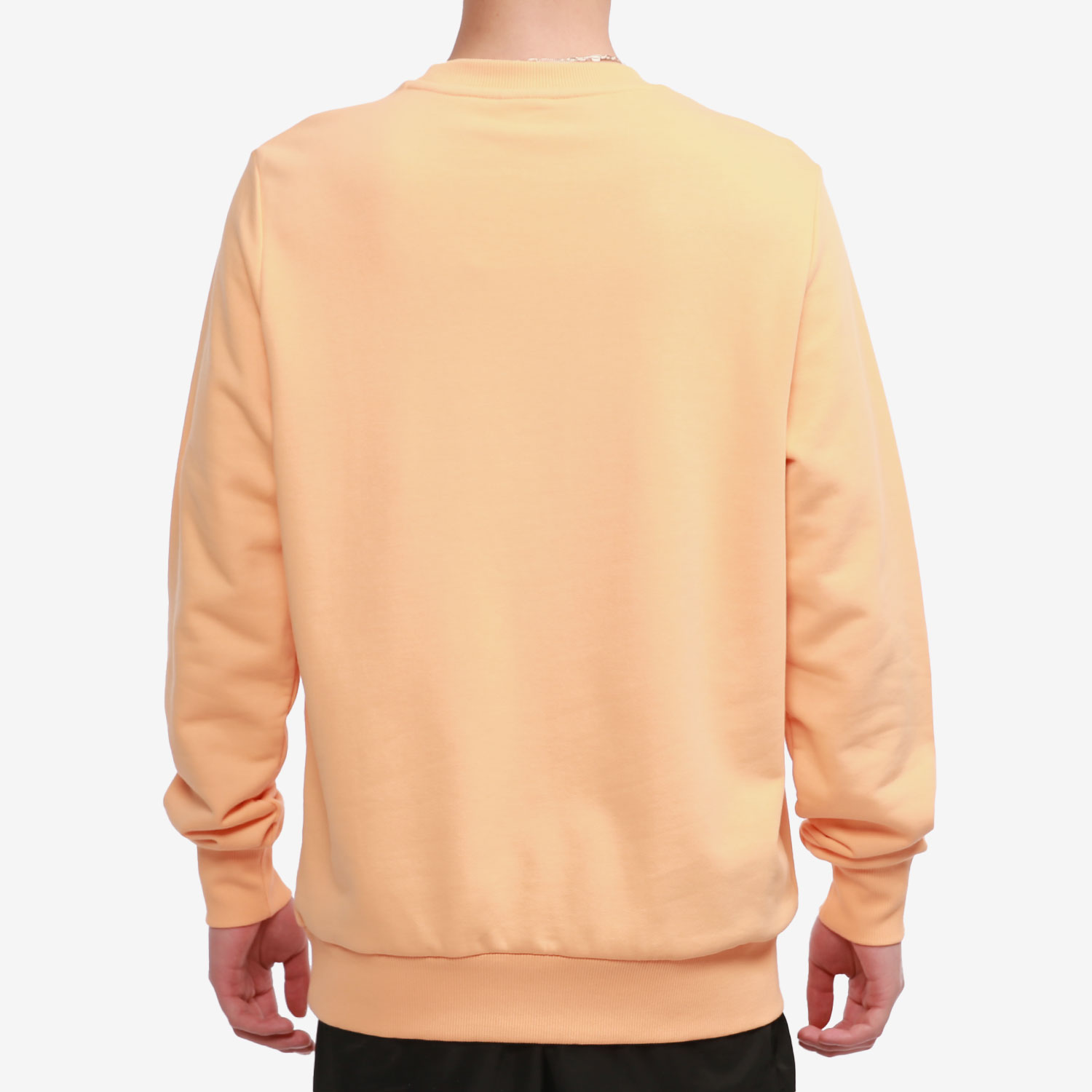 Puma/彪马正品春季新款男子简约休闲印花圆领卫衣 INTL 531416-36 - 图1