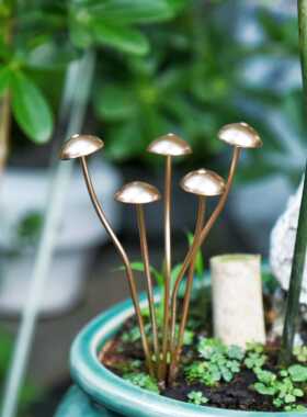 蘑菇金属花盆装饰艺小摆件多肉植微景观园艺造铁景地插拍摄道绿具