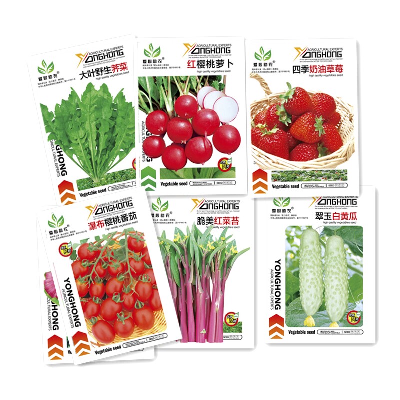 蔬菜种子四季盆栽生菜韭菜草莓籽孑大全种植早熟黑皮播种木耳特大