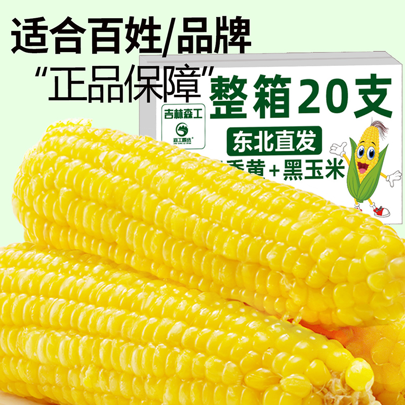 黄白糯玉米新鲜东北苞米大棒鲜糯玉米真空装早餐低脂代餐黏甜玉米