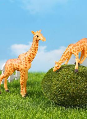 创意摆件长颈鹿微景观多肉装饰品动物系列小鹿摆件