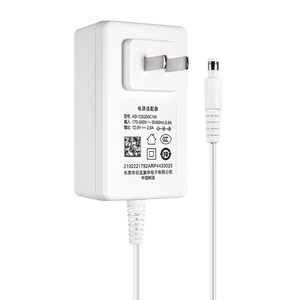 适用康佳奥克斯等品牌红光波冰点脱毛仪12V2A/3A电源适配器充电器