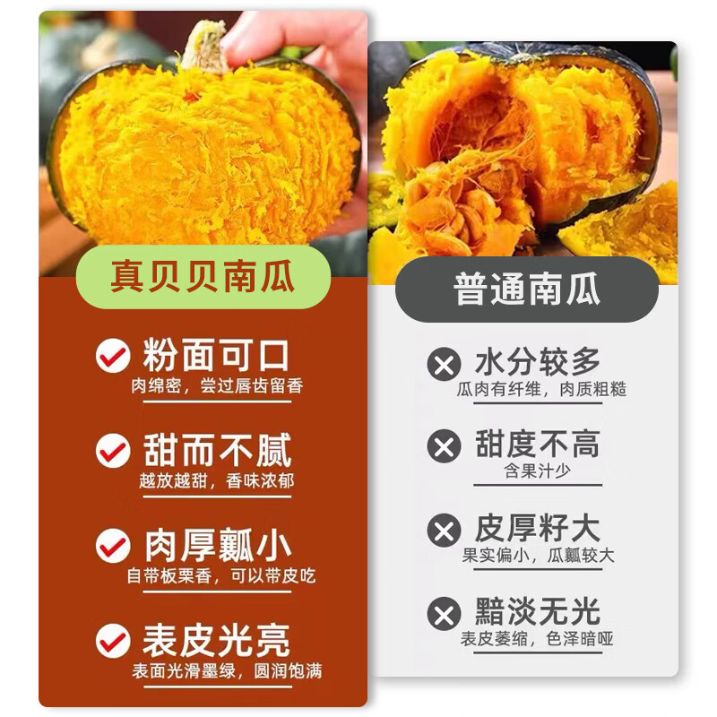 【京东快递真贝贝】京鲜匠贝贝南瓜板栗味小南瓜正宗粉糯产地直发