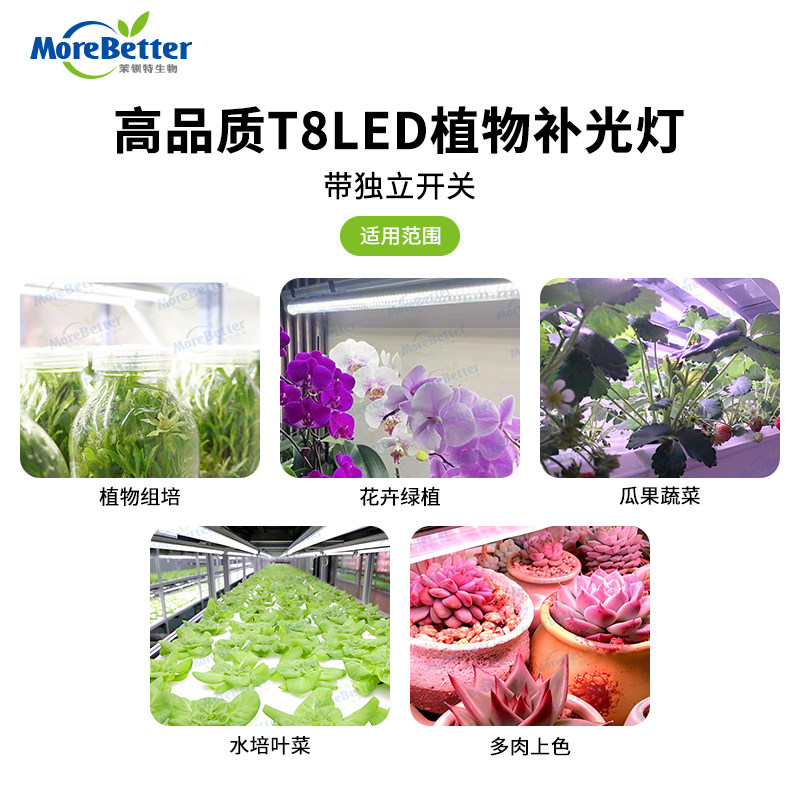 茉钡特 全光谱组培灯植物补光灯t8蔬菜育苗灯led灯多肉上色防徒长,淘宝优惠券,粉丝福利购,淘宝优惠卷