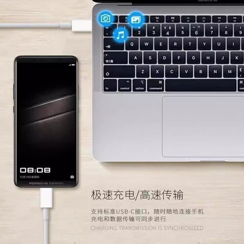 适用小度Z20Pro智学版平板双头Typec数据线topc小度Z20plus高思版学习机充电器tipc充电线加长加粗tapc正品 - 图2