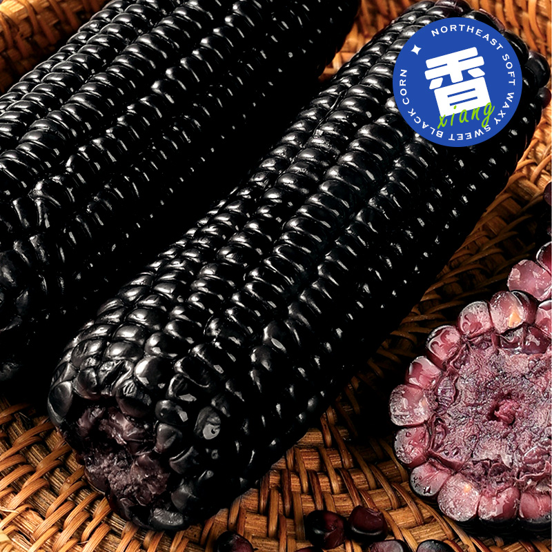 开源保丰东北黑糯玉米甜玉米真空包装新鲜采摘甜粘苞米低脂早餐
