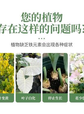 硫酸亚铁花肥料月季花栀子花家用水溶肥喜酸植物防黄叶专用叶面肥