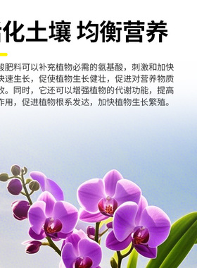 批发兰花爆根液专用浓缩营养液室内蝴蝶兰墨兰石斛兰花肥料生根液
