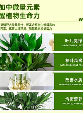 富贵竹营养液植物通用浓缩肥防黄叶烂根四季常绿速生根专用营养肥