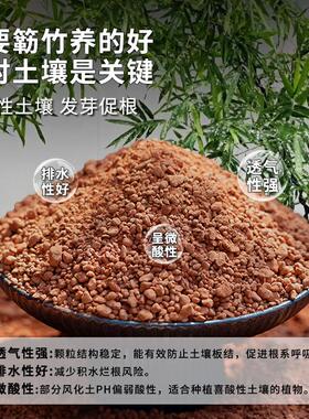 小叶簕竹专用土盆景专用风化土红土喜酸植物通用生根粉蛭石赤玉土