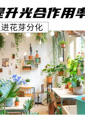 艾尚棵植物复苏液绿植营养液复活液花草花肥养花专用肥水培营养液