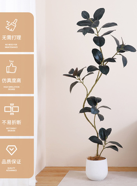 黑金刚橡皮树仿真绿植高端轻奢
