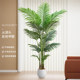 Simulated green plant sibirica plant potted living room decorations