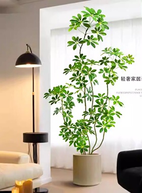 仿生植物盆栽落地摆件轻奢室内