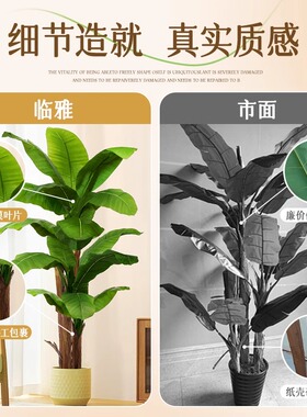 仿真大叶芭蕉树2025大型仿生绿植