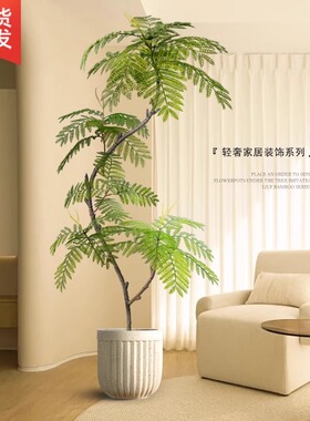 仿真绿植蓝花楹室内盆栽大型假树