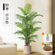 Simulated green plants, high-end light luxury landscaping potted plants