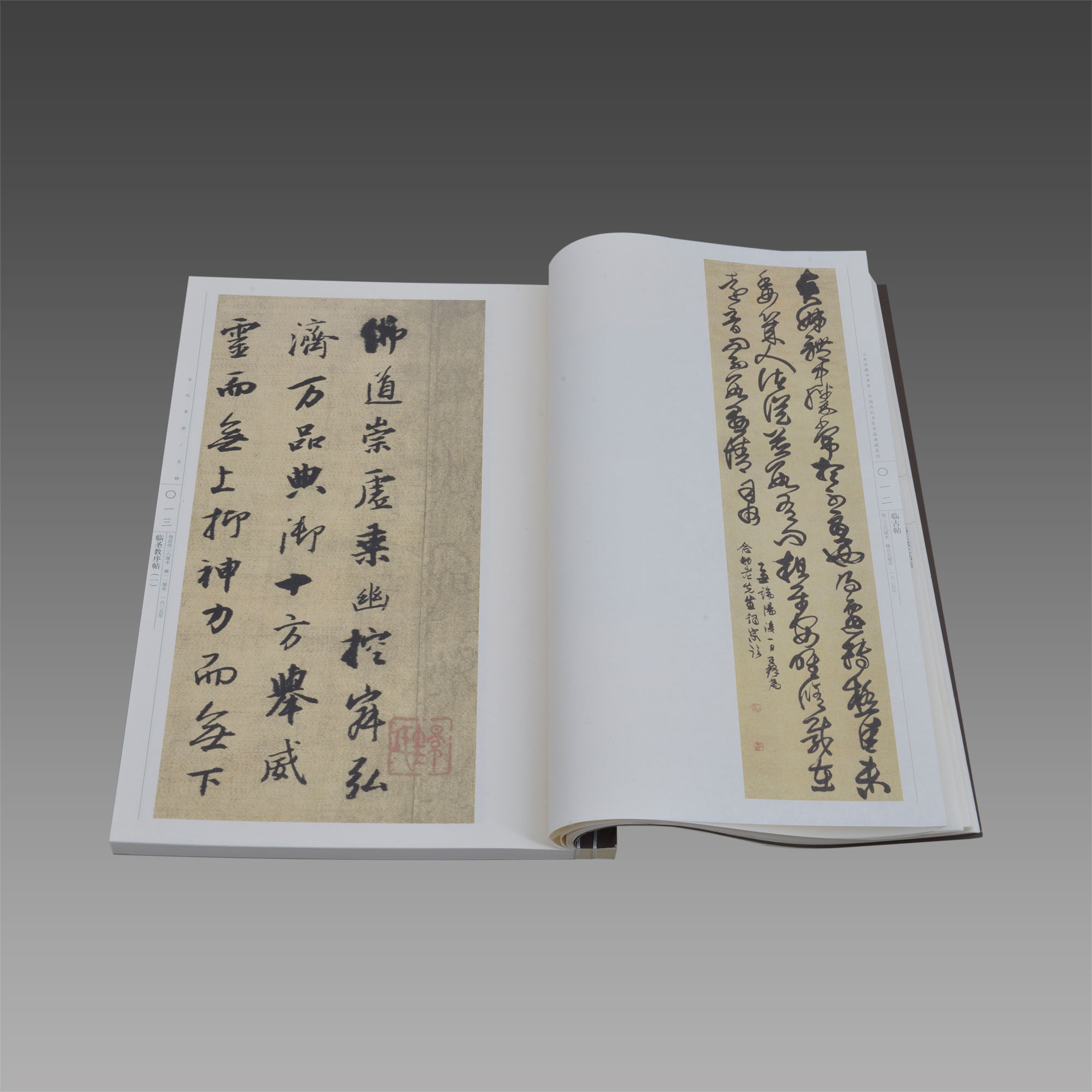 【三希堂藏书】中国古代书法.王铎 1函2册 线装 三希堂藏书 宣纸彩印 名家作品集 正版宣纸书籍