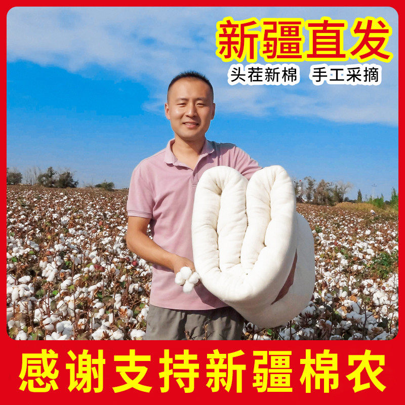 新疆长绒棉花被纯棉被子全棉被芯棉絮床垫被褥子加厚保暖春秋冬被,淘宝优惠券,粉丝福利购,淘宝优惠卷