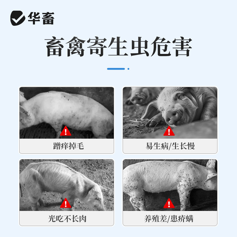 华畜驱虫药兽用阿苯达唑伊维菌素粉预混剂鸡猪牛羊打虫药正品兽药,淘宝优惠券,粉丝福利购,淘宝优惠卷