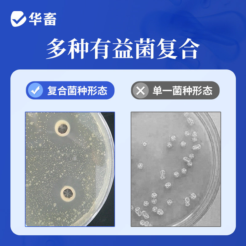 华畜em菌水产养殖专用益生菌原粉农业种植养鱼水肥发酵菌种,淘宝优惠券,粉丝福利购,淘宝优惠卷