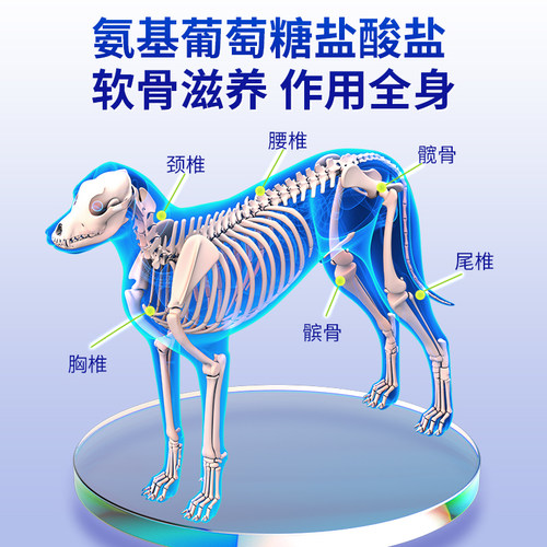 美洲宠关节舒片鲨鱼软骨素狗狗专用猫咪泰迪金毛通用钙片维生素 - 图2