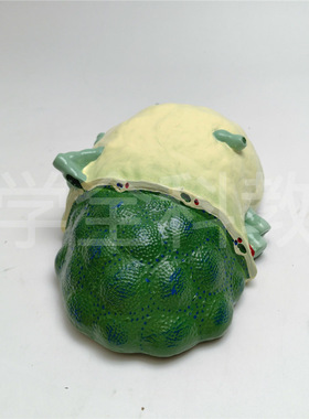 厂家直销淋巴结放大模型 生物医疗初高中教学模型 淋巴结放大展示