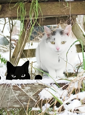 创意动物猫咪偷看凝视设计花插庭院栅栏装饰铁艺黑猫剪影窗户装饰