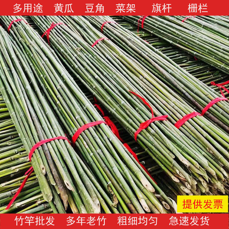 竹竿菜园搭架蔬菜爬藤竹杆豆角杆黄瓜竹子杆彩旗架篱笆栅栏细竹子,淘宝优惠券,粉丝福利购,淘宝优惠卷