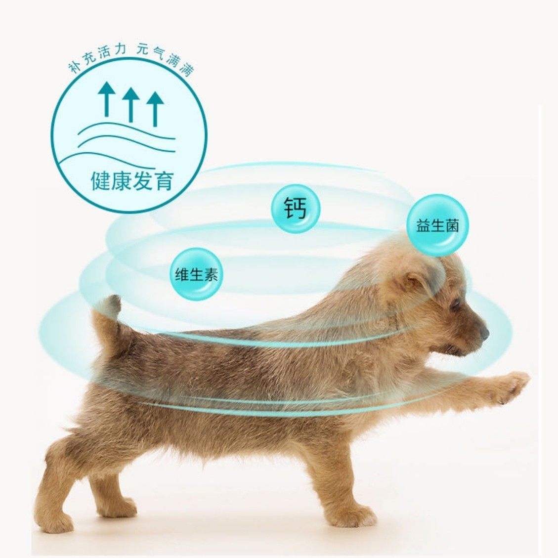 加速力宠物羊奶粉800克一桶,淘宝优惠券,粉丝福利购,淘宝优惠卷