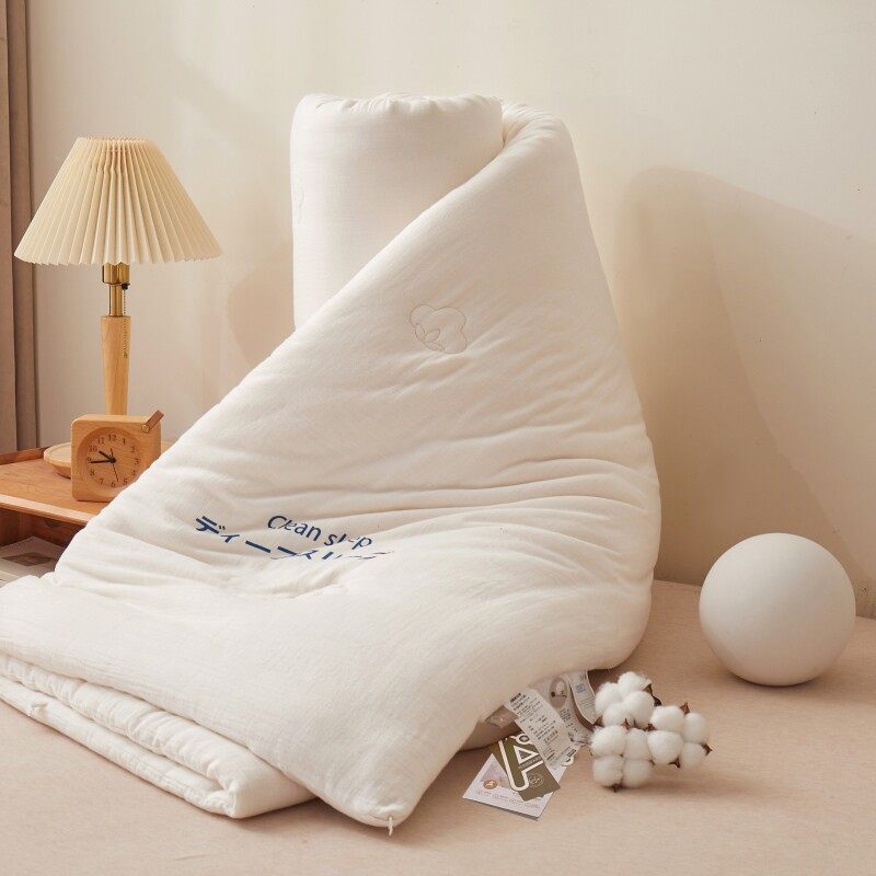 2025新款全棉A类皱皱双层纱棉花被被子冬被棉被被芯冬季加厚保暖,淘宝优惠券,粉丝福利购,淘宝优惠卷