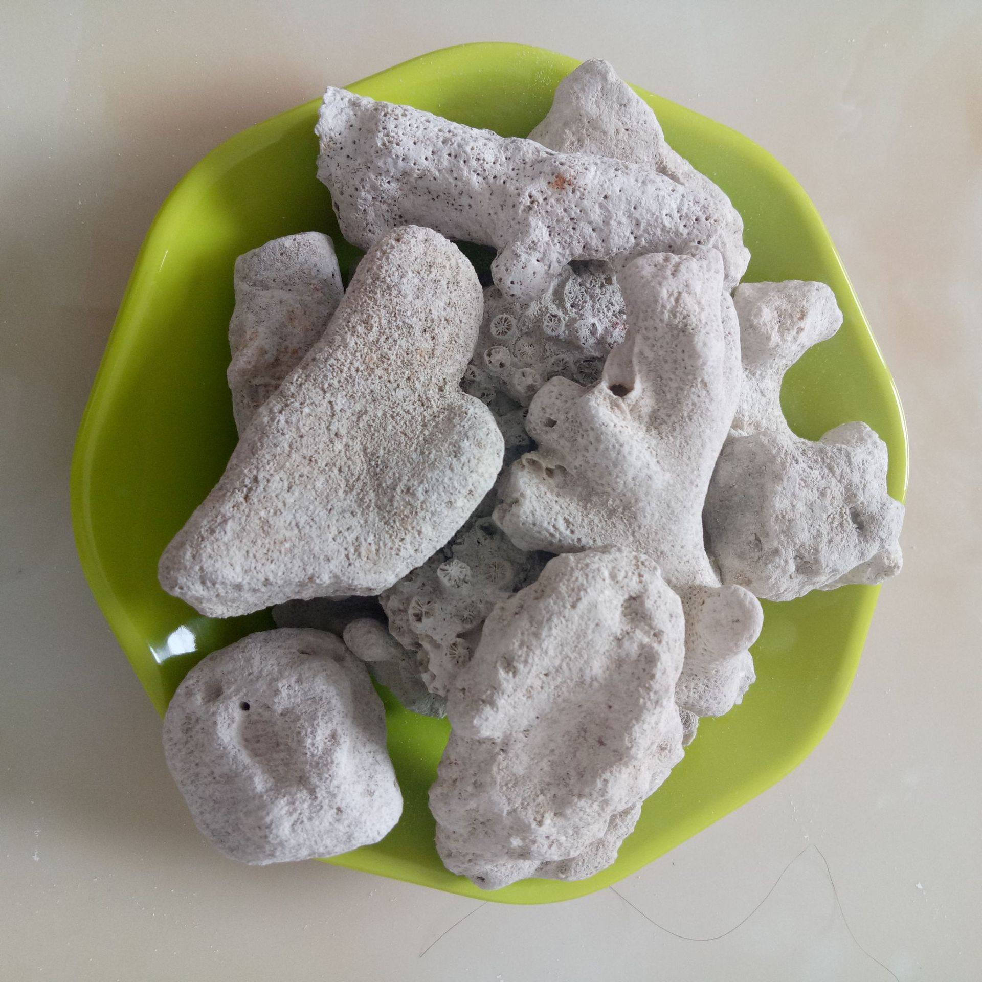 厂家销售 鱼缸造景珊瑚沙 水族过滤珊瑚骨,淘宝优惠券,粉丝福利购,淘宝优惠卷