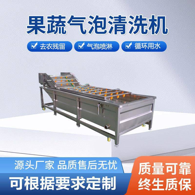 商用蔬菜气泡清洗机辣椒气泡清洗机山野菜蒲公英喷淋清洗设备 - 图0