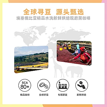 【Fs2c】新鲜烘焙核果咖啡豆100g[23元优惠券]-寻折猪