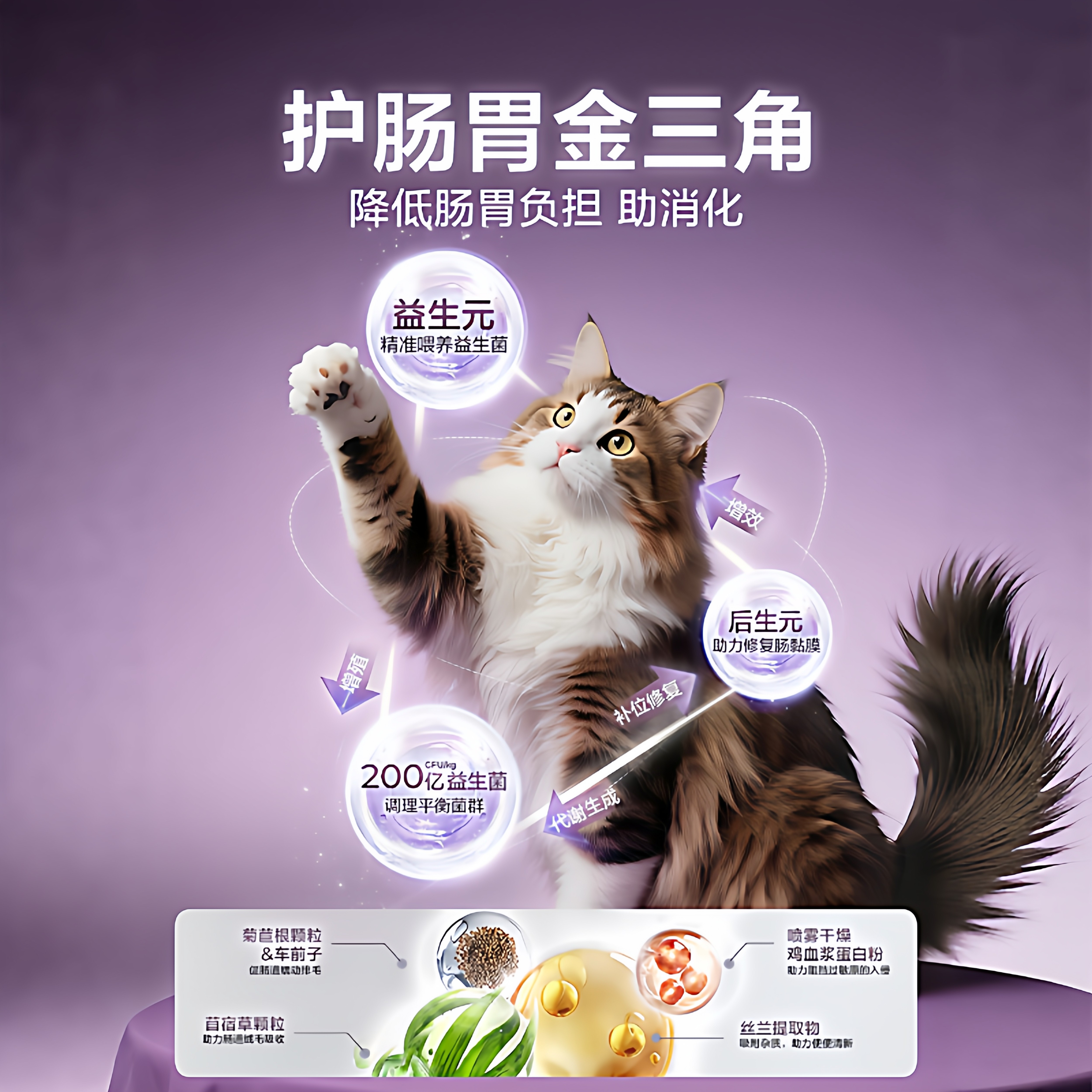 网易严选冻干双拼猫粮成猫幼猫小猫全价宠物猫猫布偶英短猫粮鸡肉,淘宝优惠券,粉丝福利购,淘宝优惠卷