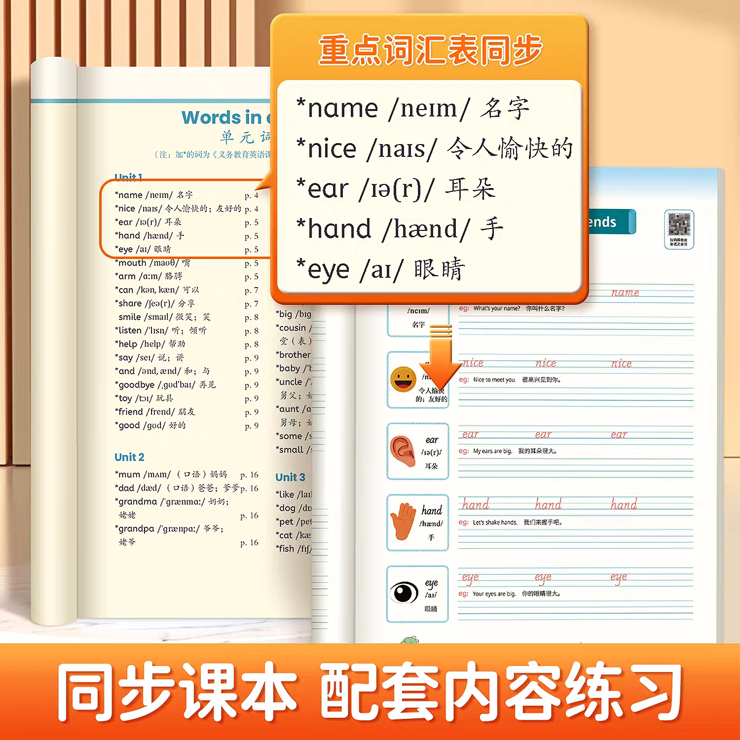 2025新改版人教版pep三四五六年级上册下册邹慕白字帖英语同步课本小学生教材练字帖儿童手写斜体26个英文字母单词练习写字描红本 - 图0