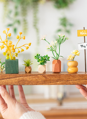 阿楹 客厅艺术玄关摆件拍照微缩 办工作桌植物角假花斗柜书架装饰