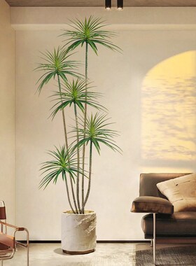 大型落地摆件客厅轻奢高档家居饰品龙血树仿真绿S植玄关装饰品摆