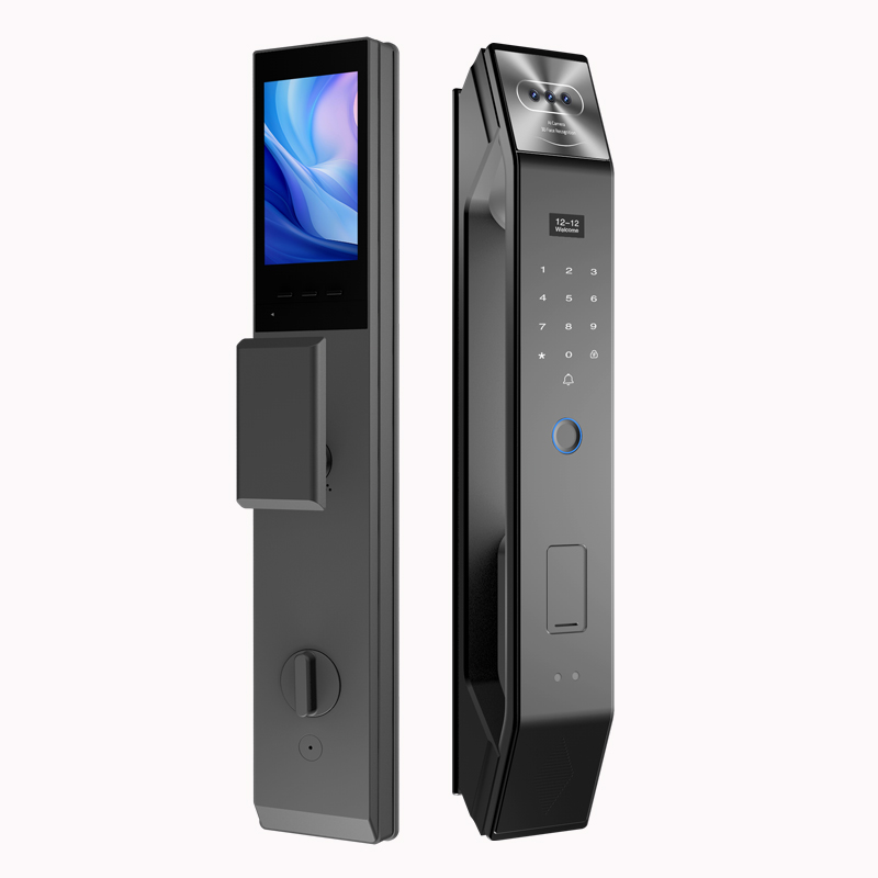 凯迪仕人脸识别指纹锁p30promax家用防盗门智能门锁入户门密码锁 - 图3