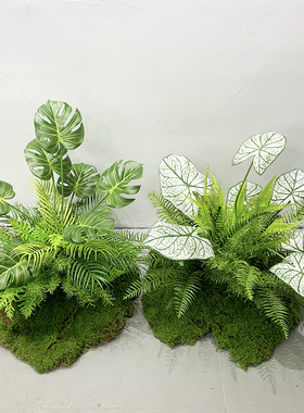 简约室内花草假植物森系造景装饰