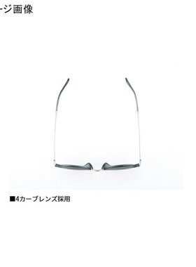 日本直邮Daiwa DN-8015 三醋酸纤维偏光眼镜黑色灰色蓝色镜面0839