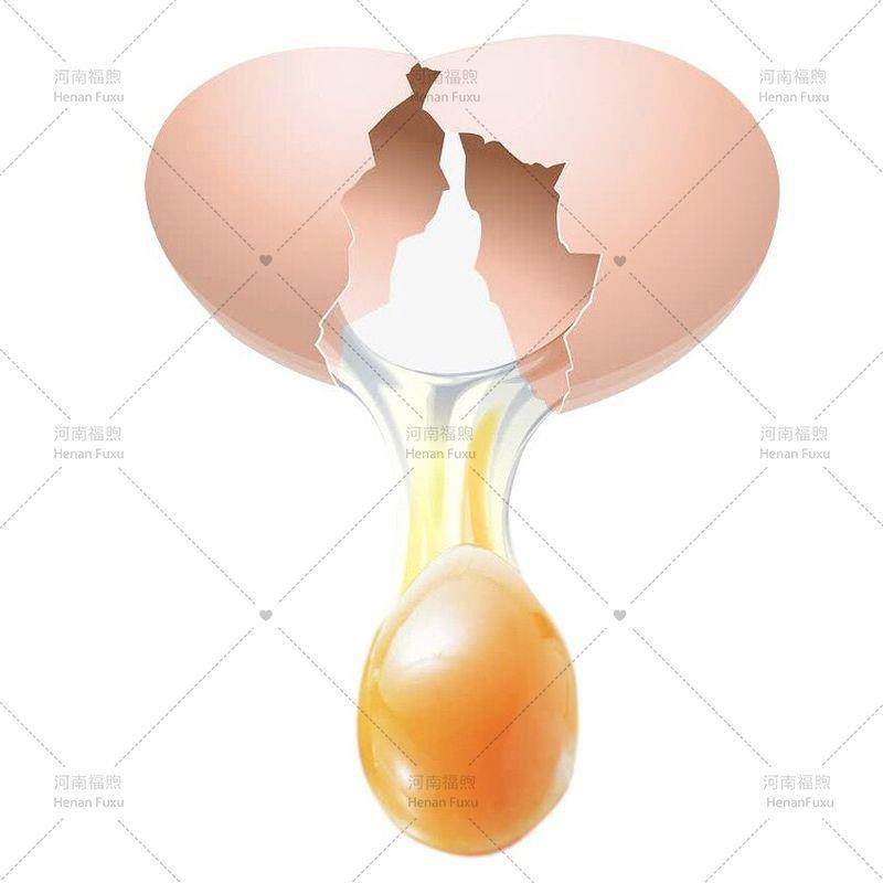 全自动敲蛋机打蛋机仿手工磕蛋设备蛋清蛋黄生产设备,淘宝优惠券,粉丝福利购,淘宝优惠卷