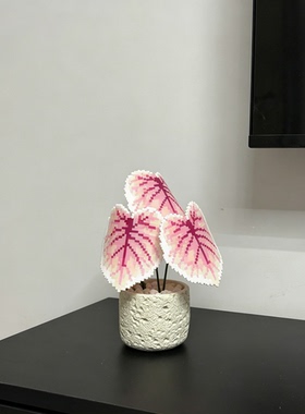 用拼豆打造永不枯萎的彩叶芋