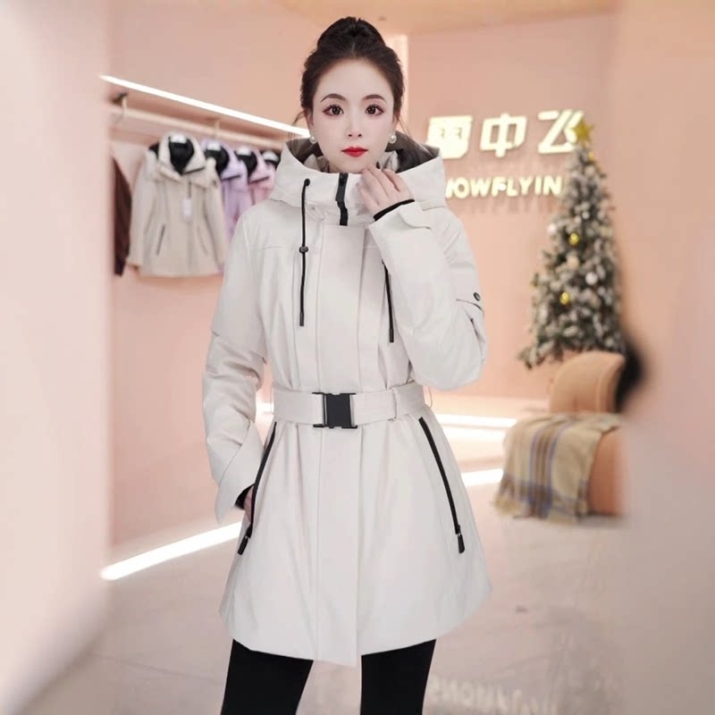 图 2